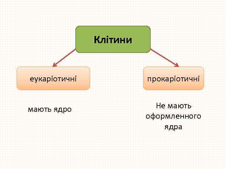 Клітини еукаріотичні прокаріотичні мають ядро Не мають оформленного ядра 