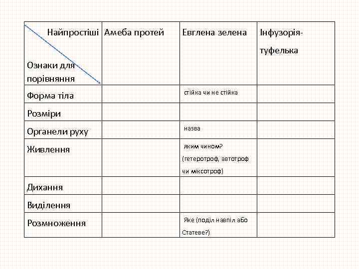 Найпростіші Амеба протей Евглена зелена Інфузоріятуфелька Ознаки для порівняння Форма тіла стійка чи не