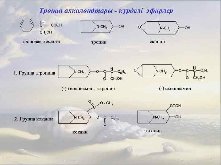 Тропан алкалоидтары - күрделі эфирлер 