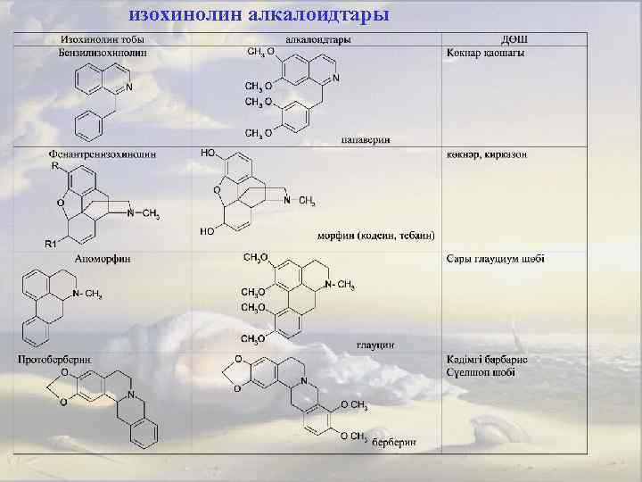 изохинолин алкалоидтары 