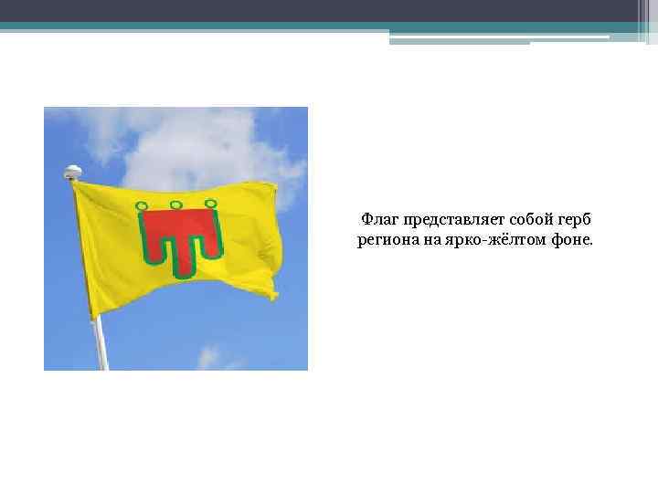 Флаг представляет собой герб региона на ярко-жёлтом фоне. 