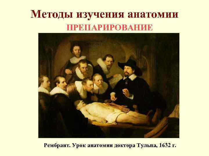 Методы изучения анатомии ПРЕПАРИРОВАНИЕ Рембрант. Урок анатомии доктора Тульпа, 1632 г. 