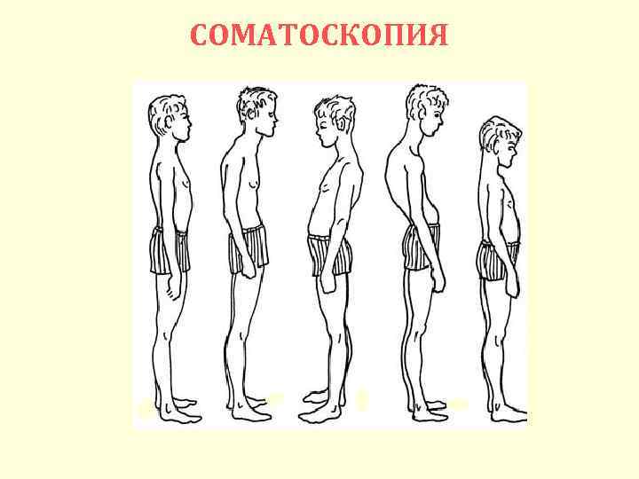 СОМАТОСКОПИЯ 