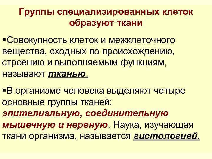 Группы специализированных клеток образуют ткани §Совокупность клеток и межклеточного вещества, сходных по происхождению, строению