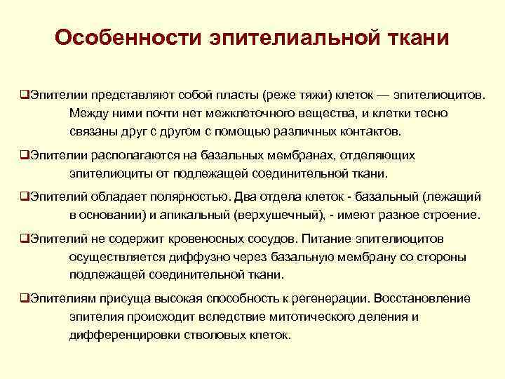 Особенности эпителиальной ткани q. Эпителии представляют собой пласты (реже тяжи) клеток — эпителиоцитов. Между