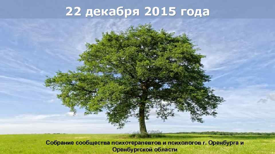 22 декабря 2015 года Собрание сообщества психотерапевтов и психологов г. Оренбурга и Powerpoint Templates