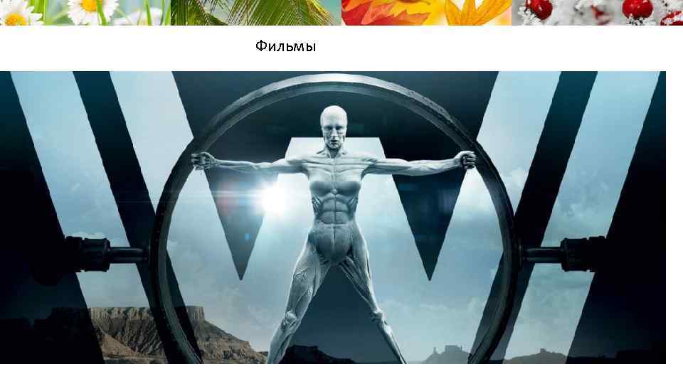 Фильмы 