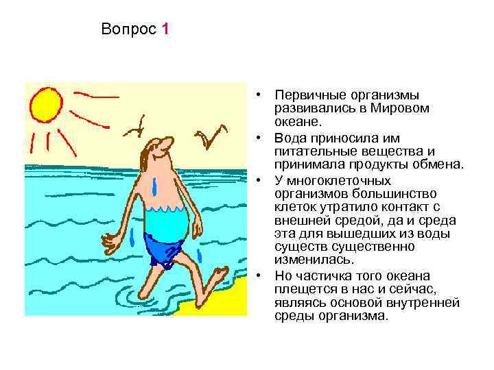 Вопрос 1 • Первичные организмы развивались в Мировом океане. • Вода приносила им питательные