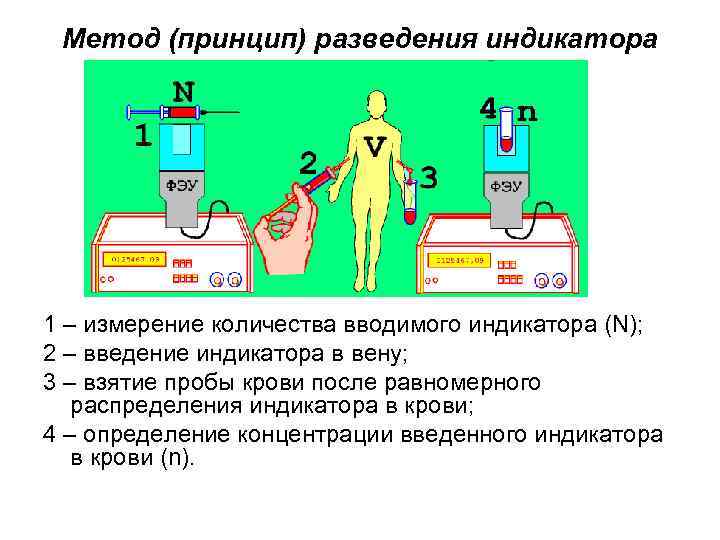 Метод (принцип) разведения индикатора 1 – измерение количества вводимого индикатора (N); 2 – введение