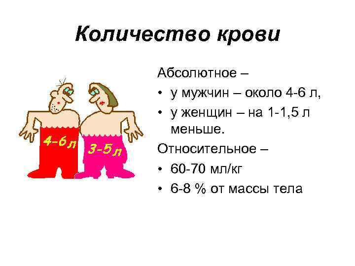 Количество крови Абсолютное – • у мужчин – около 4 -6 л, • у