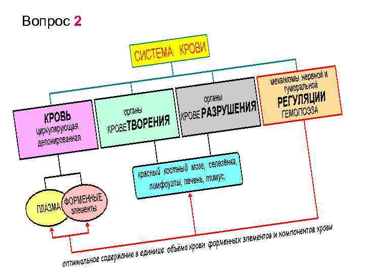 Вопрос 2 