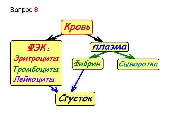 Вопрос 8 