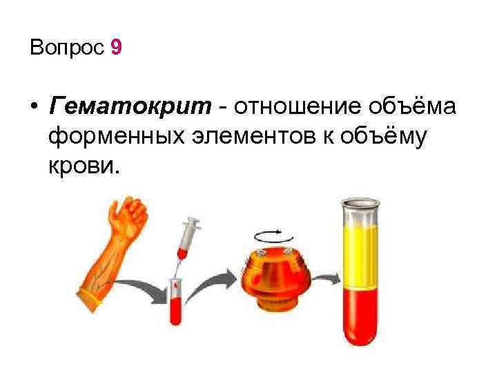 Вопрос 9 • Гематокрит - отношение объёма форменных элементов к объёму крови. 