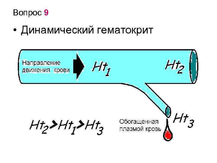 Вопрос 9 • Динамический гематокрит 