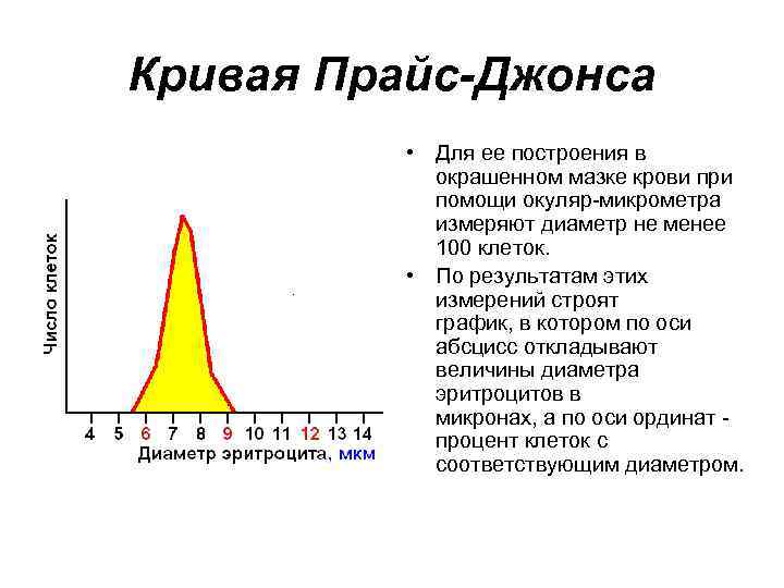Кривая Прайс-Джонса • Для ее построения в окрашенном мазке крови при помощи окуляр-микрометра измеряют