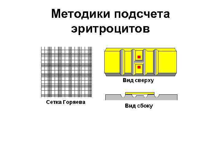 Методики подсчета эритроцитов 