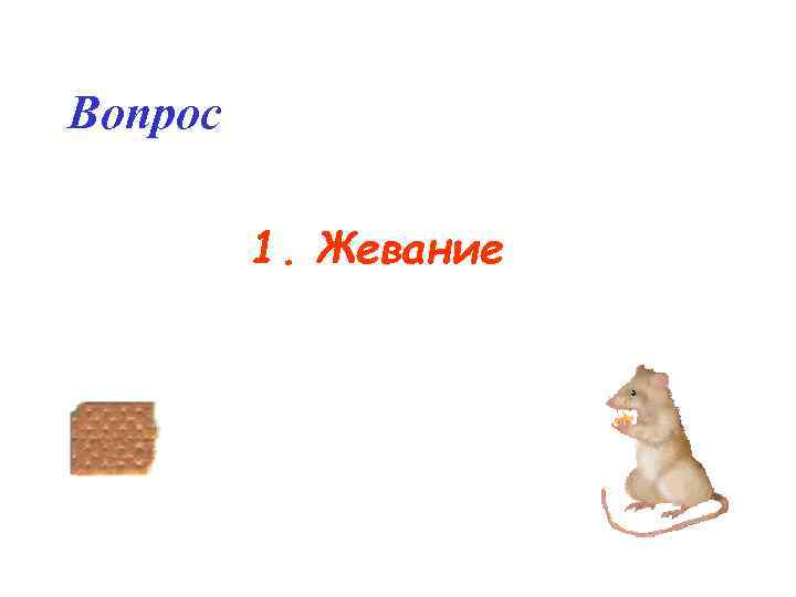 Вопрос 1. Жевание 