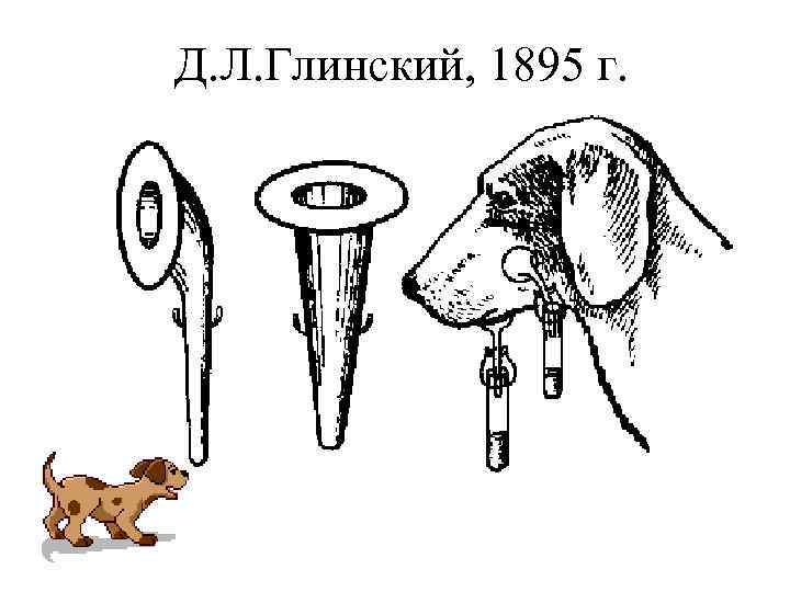 Д. Л. Глинский, 1895 г. 