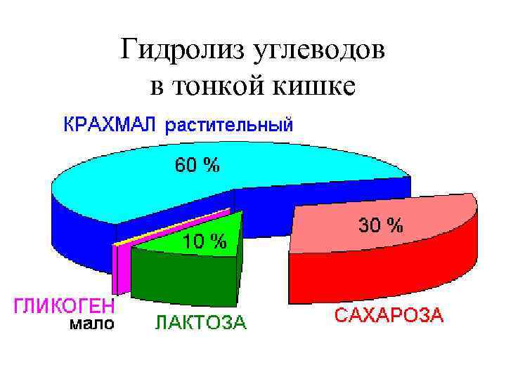 Гидролиз углеводов в тонкой кишке 
