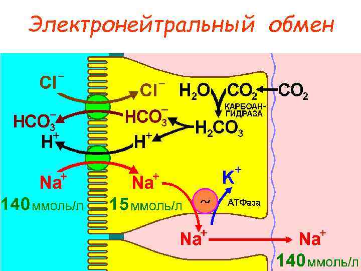 Электронейтральный обмен 