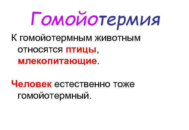 Гомойотермия К гомойотермным животным относятся птицы, млекопитающие. Человек естественно тоже гомойотермный. 