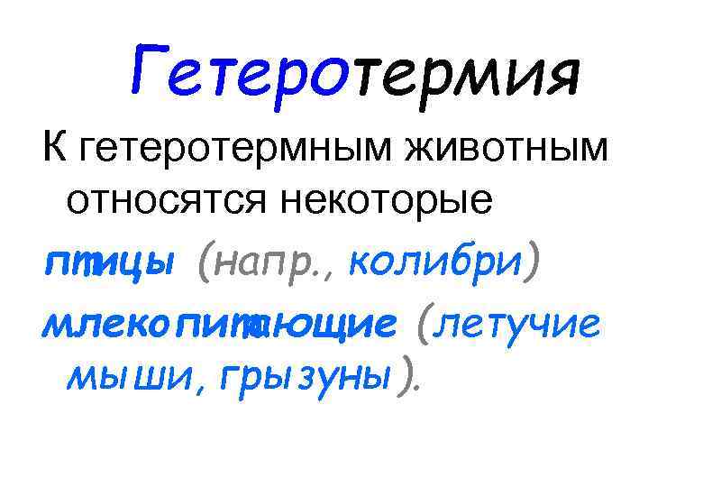 Гетеротермия К гетеротермным животным относятся некоторые птицы (напр. , колибри) млекопитающие (летучие мыши, грызуны).