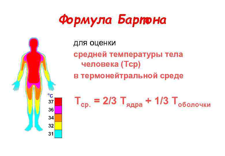 Формула Бартона для оценки средней температуры тела человека (Tср) в термонейтральной среде Tср. =