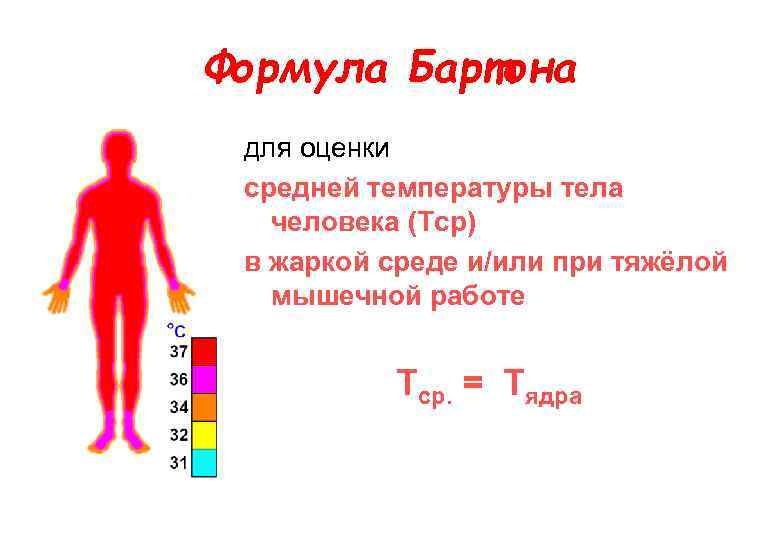 Формула Бартона для оценки средней температуры тела человека (Tср) в жаркой среде и/или при