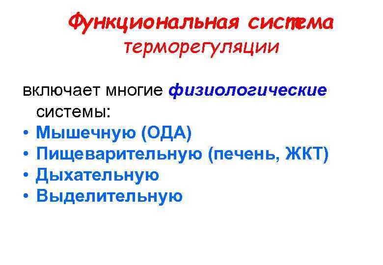 Функциональная система терморегуляции включает многие физиологические системы: • Мышечную (ОДА) • Пищеварительную (печень, ЖКТ)