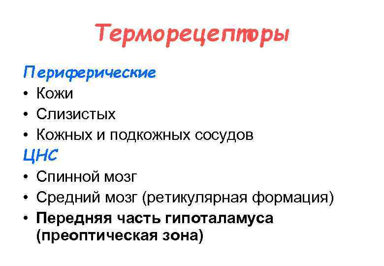 Терморецепторы Периферические • Кожи • Слизистых • Кожных и подкожных сосудов ЦНС • Спинной