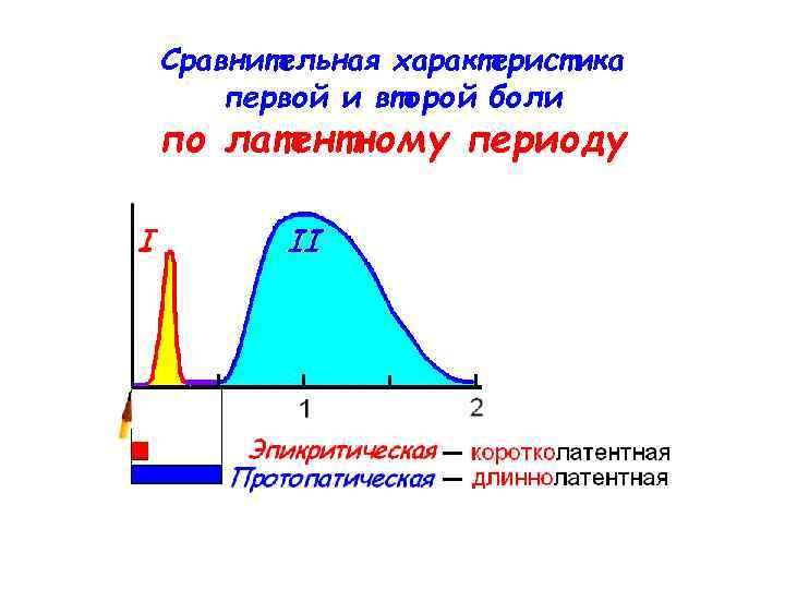 Сравнительная характеристика первой и второй боли по латентному периоду 