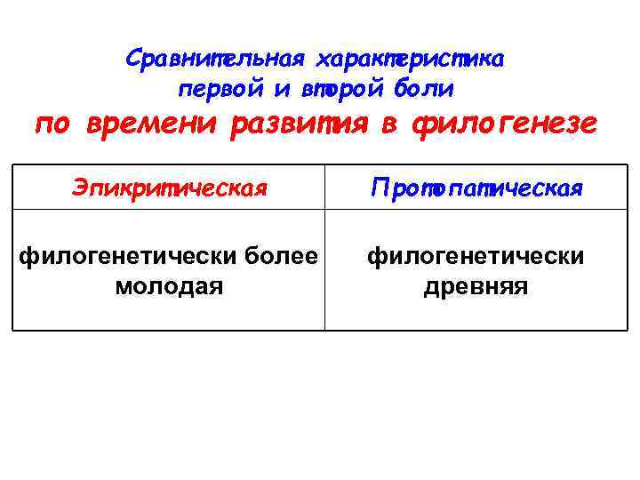 Сравнительная характеристика первой и второй боли по времени развития в филогенезе Эпикритическая Протопатическая филогенетически