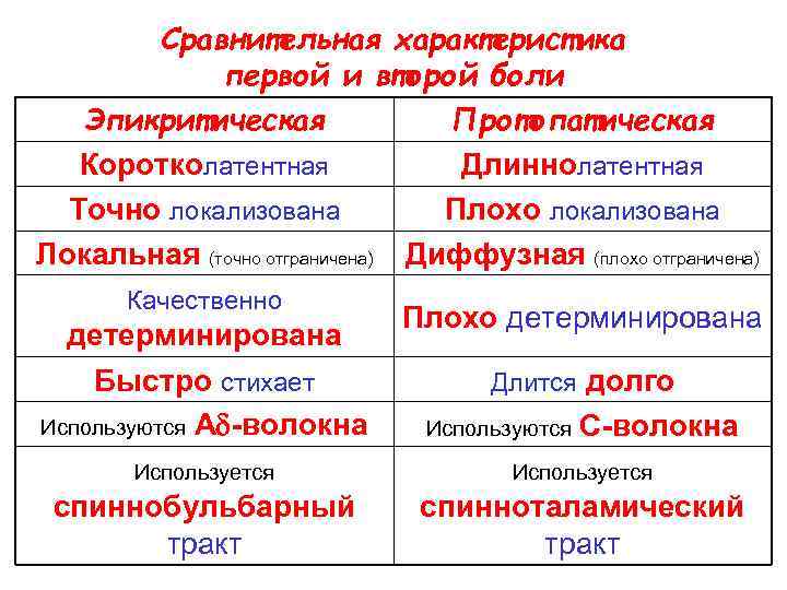 Схема структурной организации восприятия первичной локализованной боли