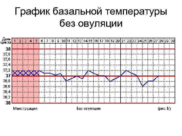 График базальной температуры без овуляции 