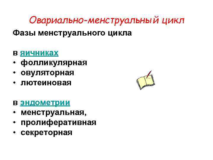 Овариально-менструальный цикл Фазы менструального цикла в яичниках • фолликулярная • овуляторная • лютеиновая в