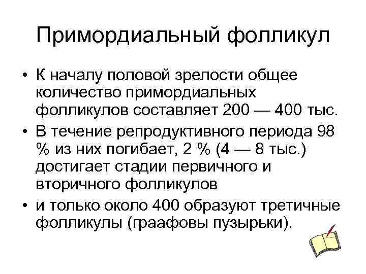 Примордиальный фолликул • К началу половой зрелости общее количество примордиальных фолликулов составляет 200 —