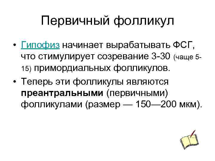 Первичный фолликул • Гипофиз начинает вырабатывать ФСГ, что стимулирует созревание 3 -30 (чаще 515)