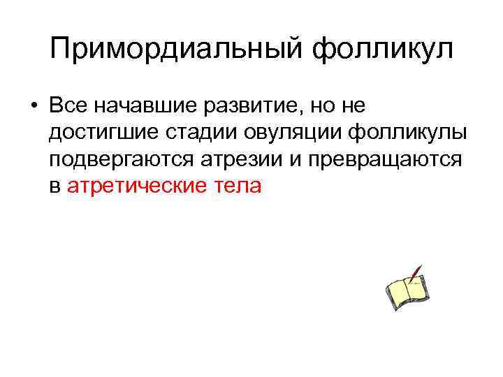 Примордиальный фолликул • Все начавшие развитие, но не достигшие стадии овуляции фолликулы подвергаются атрезии