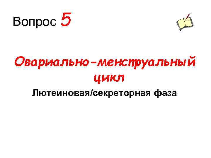 Вопрос 5 Овариально-менструальный цикл Лютеиновая/секреторная фаза 