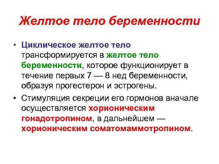 Желтое тело беременности • Циклическое желтое тело трансформируется в желтое тело беременности, которое функционирует