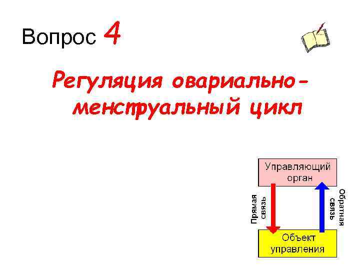 Вопрос 4 Регуляция овариальноменструальный цикл 