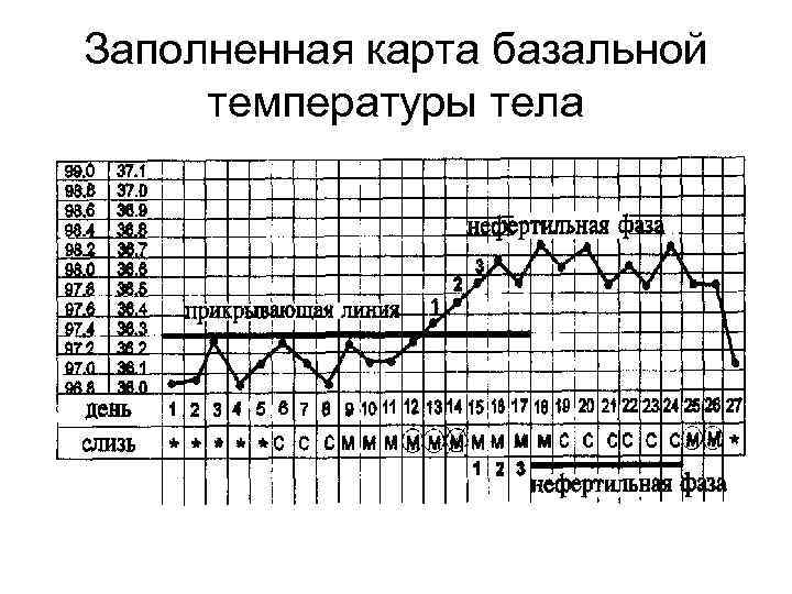 Заполненная карта базальной температуры тела 