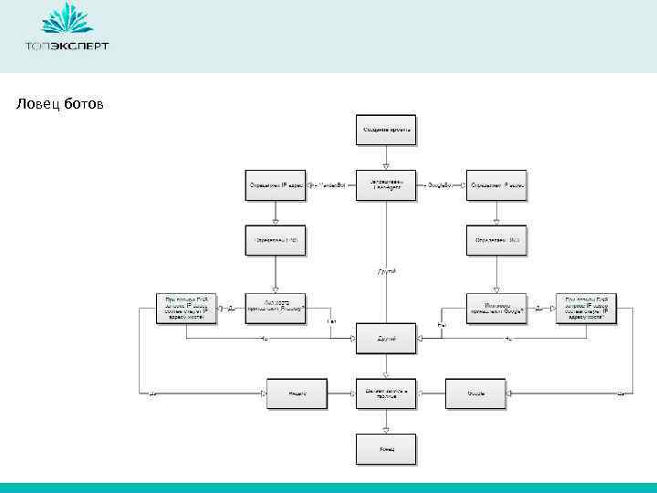 Ловец ботов 