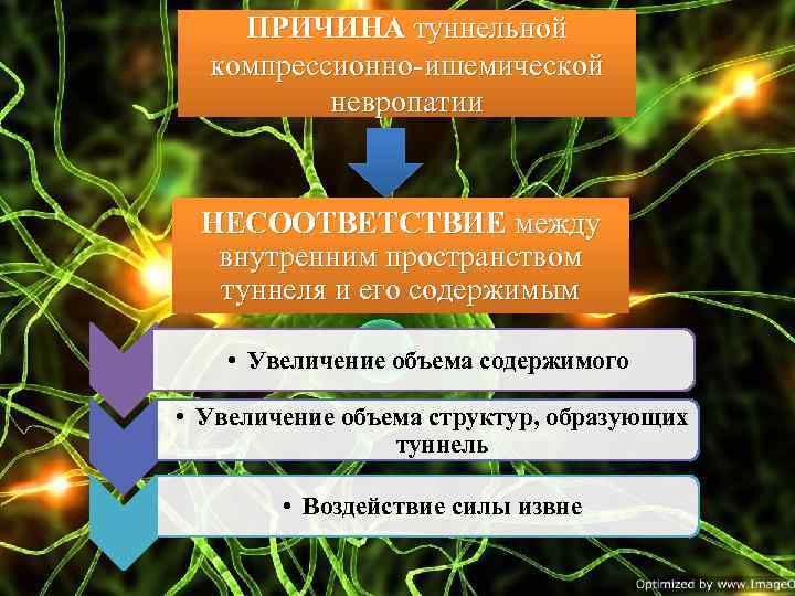 ПРИЧИНА туннельной компрессионно ишемической невропатии НЕСООТВЕТСТВИЕ между внутренним пространством туннеля и его содержимым •