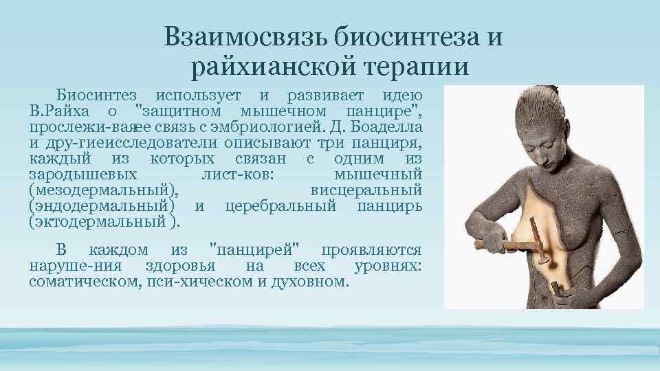 Взаимосвязь биосинтеза и райхианской терапии Биосинтез использует и развивает идею В. Райха о "защитном