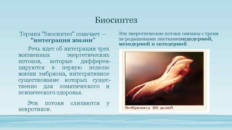 Биосинтез Термин "биосинтез" означает — "интеграция жизни" Речь идет об интеграции трех жизненных энергетических