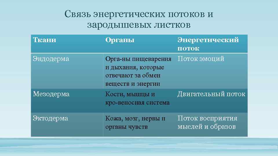 Связь энергетических потоков и зародышевых листков Ткани Эндодерма Органы Энергетический поток Орга ны пищеварения