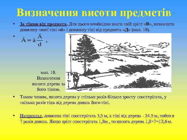 Визначення висоти предметів • • За тінню від предмета. Для цього необхідно знати свій