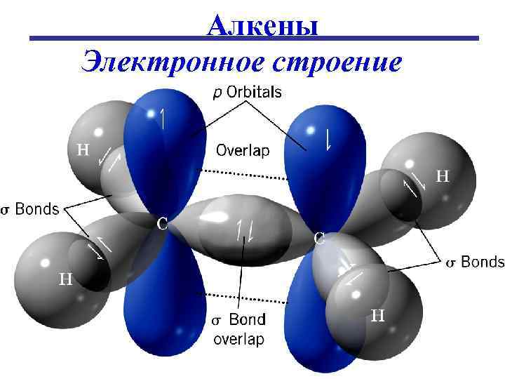 Молекулах алкенов