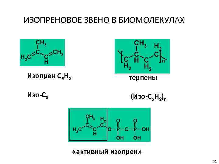 ИЗОПРЕНОВОЕ ЗВЕНО В БИОМОЛЕКУЛАХ Изопрен C 5 H 8 терпены Изо-С 5 (Изо-С 5